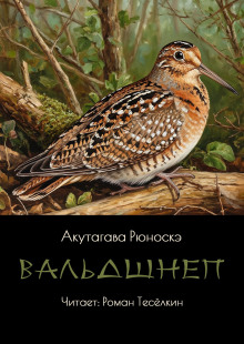 Вальдшнеп - Рюноскэ Акутагава - Лучшие аудиокниги слушать онлайн бесплатно Новые аудиокниги mp3 (мп3) на сайте mp3-knigi-audio.com