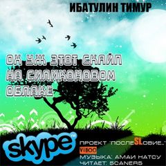 Ох уж этот скайп на силиконовом облаке - Лучшие аудиокниги слушать онлайн бесплатно Новые аудиокниги mp3 (мп3) на сайте mp3-knigi-audio.com