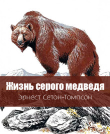 Жизнь серого медведя - Эрнест Сетон-Томпсон - Лучшие аудиокниги слушать онлайн бесплатно Новые аудиокниги mp3 (мп3) на сайте mp3-knigi-audio.com