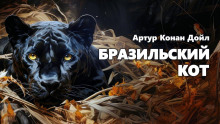 Бразильский кот - Артур Конан Дойл - Лучшие аудиокниги слушать онлайн бесплатно Новые аудиокниги mp3 (мп3) на сайте mp3-knigi-audio.com