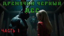 Дремучий Чёрный Лес - Андрей Кунгурцев - Лучшие аудиокниги слушать онлайн бесплатно Новые аудиокниги mp3 (мп3) на сайте mp3-knigi-audio.com