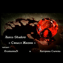 Смысл жизни - Aures Shadow - Лучшие аудиокниги слушать онлайн бесплатно Новые аудиокниги mp3 (мп3) на сайте mp3-knigi-audio.com