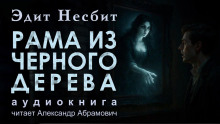 Рама из чёрного дерева - Эдит Несбит - Лучшие аудиокниги слушать онлайн бесплатно Новые аудиокниги mp3 (мп3) на сайте mp3-knigi-audio.com