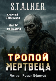 S.T.A.L.K.E.R. Тропой мертвеца - Ильяс Найманов - Лучшие аудиокниги слушать онлайн бесплатно Новые аудиокниги mp3 (мп3) на сайте mp3-knigi-audio.com
