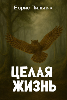 Целая жизнь - Борис Пильняк - Лучшие аудиокниги слушать онлайн бесплатно Новые аудиокниги mp3 (мп3) на сайте mp3-knigi-audio.com