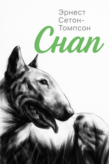 Снап - Эрнест Сетон-Томпсон - Лучшие аудиокниги слушать онлайн бесплатно Новые аудиокниги mp3 (мп3) на сайте mp3-knigi-audio.com