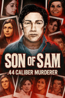 44-калибр: охота серийного убийцы - Автор неизвестен - Лучшие аудиокниги слушать онлайн бесплатно Новые аудиокниги mp3 (мп3) на сайте mp3-knigi-audio.com