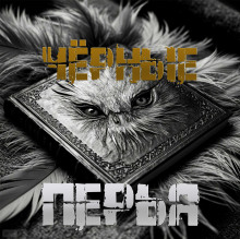 Чёрные перья - Артём Артёмов - Лучшие аудиокниги слушать онлайн бесплатно Новые аудиокниги mp3 (мп3) на сайте mp3-knigi-audio.com