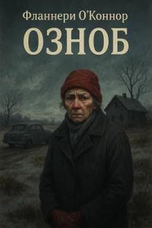 Озноб - Фланнери О&#039 - Лучшие аудиокниги слушать онлайн бесплатно Новые аудиокниги mp3 (мп3) на сайте mp3-knigi-audio.com