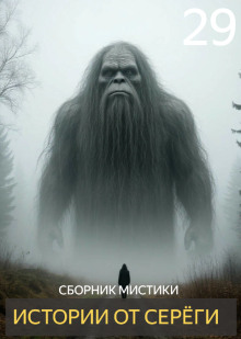 Истории от Серёги №29 - Автор неизвестен - Лучшие аудиокниги слушать онлайн бесплатно Новые аудиокниги mp3 (мп3) на сайте mp3-knigi-audio.com