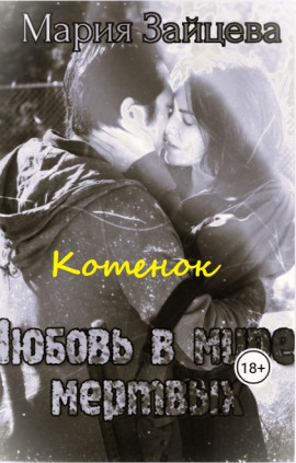 Котёнок - Мария Зайцева - Лучшие аудиокниги слушать онлайн бесплатно Новые аудиокниги mp3 (мп3) на сайте mp3-knigi-audio.com