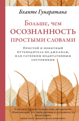 Больше, чем осознанность простыми словами. Простой и понятный путеводитель по джханам, или глубоким медитативным состояниям - Бханте Хенепола Гунаратана - Лучшие аудиокниги слушать онлайн бесплатно Новые аудиокниги mp3 (мп3) на сайте mp3-knigi-audio.com