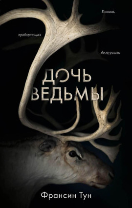Дочь ведьмы -                   Тун Франсин - Лучшие аудиокниги слушать онлайн бесплатно Новые аудиокниги mp3 (мп3) на сайте mp3-knigi-audio.com