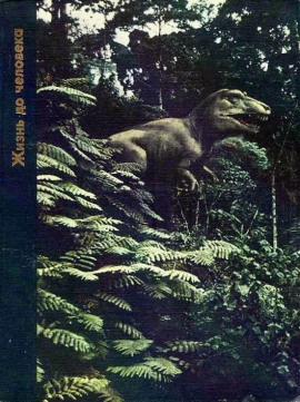 Жизнь до человека -                   Питер Вуд - Лучшие аудиокниги слушать онлайн бесплатно Новые аудиокниги mp3 (мп3) на сайте mp3-knigi-audio.com