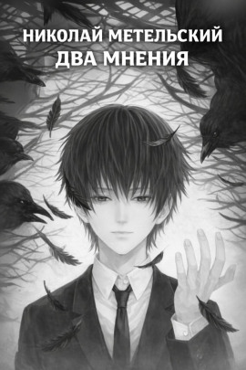 Два мнения - Николай Метельский - Лучшие аудиокниги слушать онлайн бесплатно Новые аудиокниги mp3 (мп3) на сайте mp3-knigi-audio.com