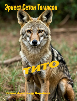 Тито - Эрнест Сетон-Томпсон - Лучшие аудиокниги слушать онлайн бесплатно Новые аудиокниги mp3 (мп3) на сайте mp3-knigi-audio.com