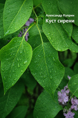 Куст сирени - Александр Куприн - Лучшие аудиокниги слушать онлайн бесплатно Новые аудиокниги mp3 (мп3) на сайте mp3-knigi-audio.com
