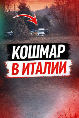 Чемодан среди леса - Автор неизвестен - Лучшие аудиокниги слушать онлайн бесплатно Новые аудиокниги mp3 (мп3) на сайте mp3-knigi-audio.com