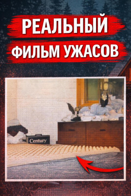 Восемь лет без ответа - Автор неизвестен - Лучшие аудиокниги слушать онлайн бесплатно Новые аудиокниги mp3 (мп3) на сайте mp3-knigi-audio.com