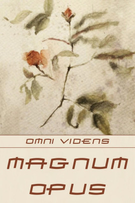 Magnum opus -                   Omni Videns - Лучшие аудиокниги слушать онлайн бесплатно Новые аудиокниги mp3 (мп3) на сайте mp3-knigi-audio.com