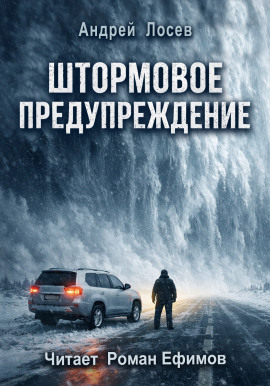 Штормовое предупреждение -                   Андрей Лосев - Лучшие аудиокниги слушать онлайн бесплатно Новые аудиокниги mp3 (мп3) на сайте mp3-knigi-audio.com