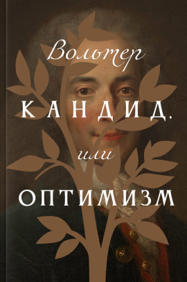 Кандид, или Оптимизм - Вольтер - Лучшие аудиокниги слушать онлайн бесплатно Новые аудиокниги mp3 (мп3) на сайте mp3-knigi-audio.com