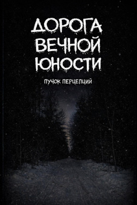 Дорога вечной юности -                   Пучок Перцепций - Лучшие аудиокниги слушать онлайн бесплатно Новые аудиокниги mp3 (мп3) на сайте mp3-knigi-audio.com
