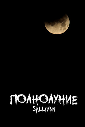 Полнолуние - Sallivan - Лучшие аудиокниги слушать онлайн бесплатно Новые аудиокниги mp3 (мп3) на сайте mp3-knigi-audio.com