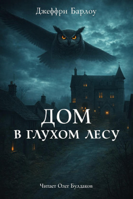 Дом в глухом лесу -                   Джеффри Барлоу - Лучшие аудиокниги слушать онлайн бесплатно Новые аудиокниги mp3 (мп3) на сайте mp3-knigi-audio.com