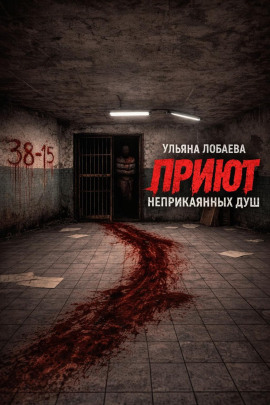 Приют неприкаянных душ - Ульяна Лобаева - Лучшие аудиокниги слушать онлайн бесплатно Новые аудиокниги mp3 (мп3) на сайте mp3-knigi-audio.com