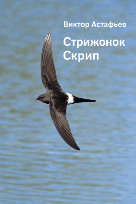 Стрижонок Скрип - Виктор Астафьев - Лучшие аудиокниги слушать онлайн бесплатно Новые аудиокниги mp3 (мп3) на сайте mp3-knigi-audio.com