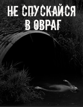 Не спускайся в овраг - Автор неизвестен - Лучшие аудиокниги слушать онлайн бесплатно Новые аудиокниги mp3 (мп3) на сайте mp3-knigi-audio.com