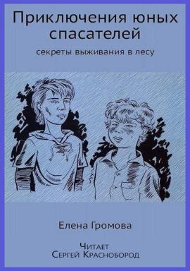 Приключения юных спасателей -                   Елена Громова - Лучшие аудиокниги слушать онлайн бесплатно Новые аудиокниги mp3 (мп3) на сайте mp3-knigi-audio.com