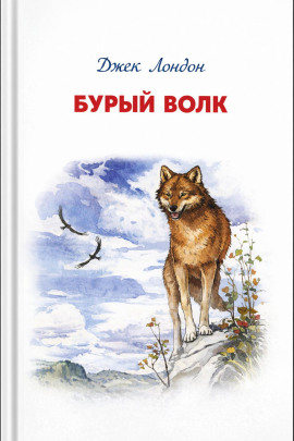 Бурый Волк - Джек Лондон - Лучшие аудиокниги слушать онлайн бесплатно Новые аудиокниги mp3 (мп3) на сайте mp3-knigi-audio.com