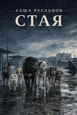 Стая -                   Саша Русланов - Лучшие аудиокниги слушать онлайн бесплатно Новые аудиокниги mp3 (мп3) на сайте mp3-knigi-audio.com