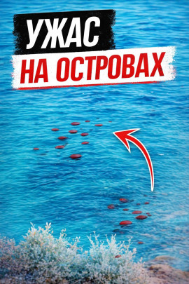 Смерть у скал - Автор неизвестен - Лучшие аудиокниги слушать онлайн бесплатно Новые аудиокниги mp3 (мп3) на сайте mp3-knigi-audio.com