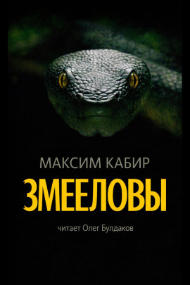 Змееловы. Исцеление - Максим Кабир - Лучшие аудиокниги слушать онлайн бесплатно Новые аудиокниги mp3 (мп3) на сайте mp3-knigi-audio.com