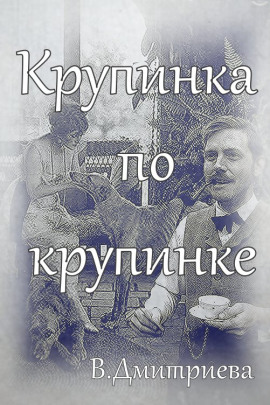 Крупинка по крупинке -                   Валентина Дмитриева - Лучшие аудиокниги слушать онлайн бесплатно Новые аудиокниги mp3 (мп3) на сайте mp3-knigi-audio.com