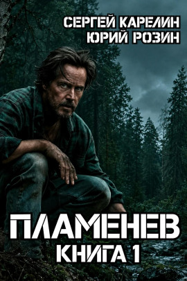 Пламенев. Книга 1 - Сергей Карелин - Лучшие аудиокниги слушать онлайн бесплатно Новые аудиокниги mp3 (мп3) на сайте mp3-knigi-audio.com
