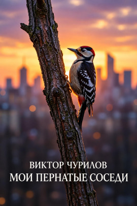 Мои пернатые соседи - Виктор Чурилов - Лучшие аудиокниги слушать онлайн бесплатно Новые аудиокниги mp3 (мп3) на сайте mp3-knigi-audio.com