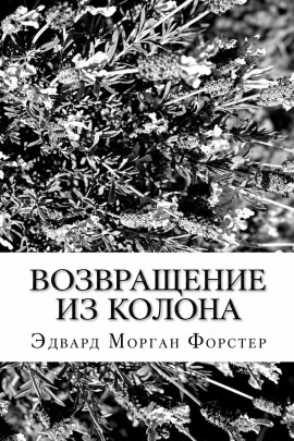 Возвращение из Колона - Форстер Эдвард Морган - Лучшие аудиокниги слушать онлайн бесплатно Новые аудиокниги mp3 (мп3) на сайте mp3-knigi-audio.com