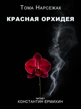 Красная орхидея - Тома Нарсежак - Лучшие аудиокниги слушать онлайн бесплатно Новые аудиокниги mp3 (мп3) на сайте mp3-knigi-audio.com