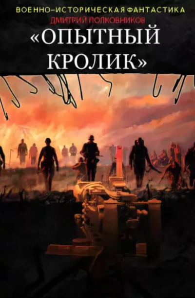 Опытный кролик - Дмитрий Полковников - Лучшие аудиокниги слушать онлайн бесплатно Новые аудиокниги mp3 (мп3) на сайте mp3-knigi-audio.com