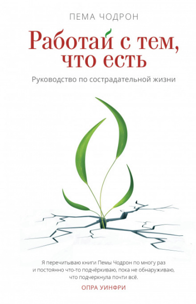 Работай с тем, что есть. Руководство по сострадательной жизни - Пема Чодрон - Лучшие аудиокниги слушать онлайн бесплатно Новые аудиокниги mp3 (мп3) на сайте mp3-knigi-audio.com